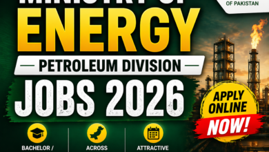 Ministry of Energy Petroleum Division Jobs 2026 – Apply Online